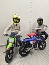 Apollo Elektrische Kinder Pitbike - MX-E350 - Rood
