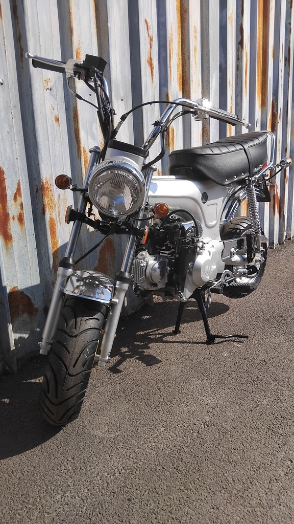 Zhenhua DX Licht Grijs NT