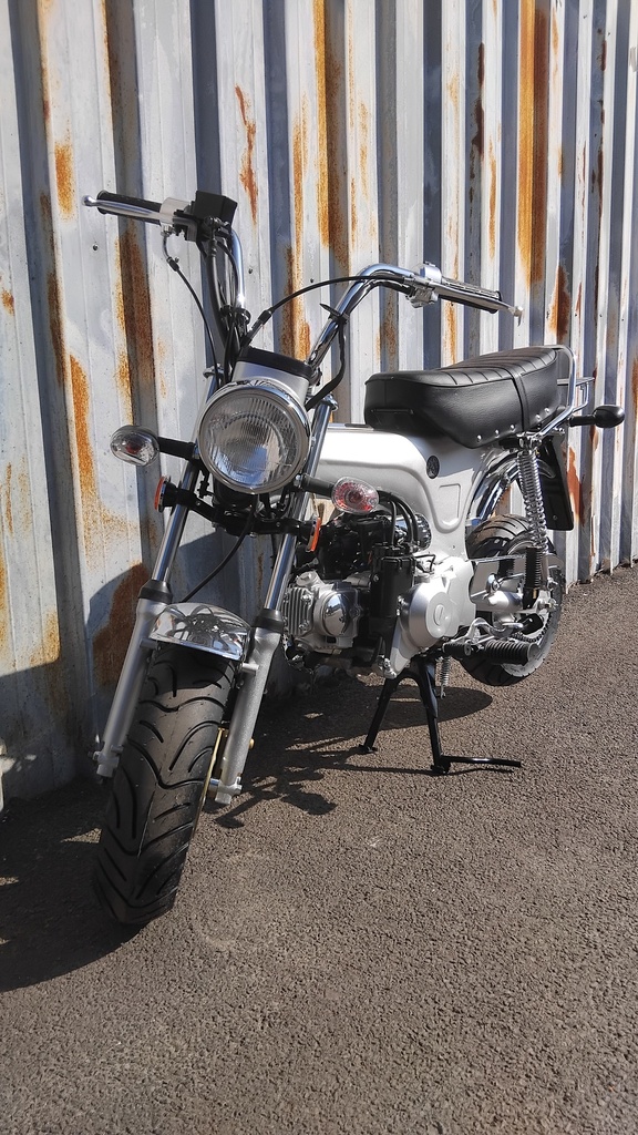 Zhenhua DX Licht Grijs OT