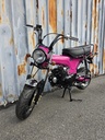 Zhenhua DX Fuchsia Rose / Full Black Motor NT
