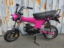 Zhenhua DX Fuchsia Rose / Full Black Motor NT