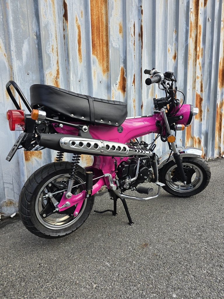 Zhenhua DX Fuchsia Rose / Full Black Motor NT