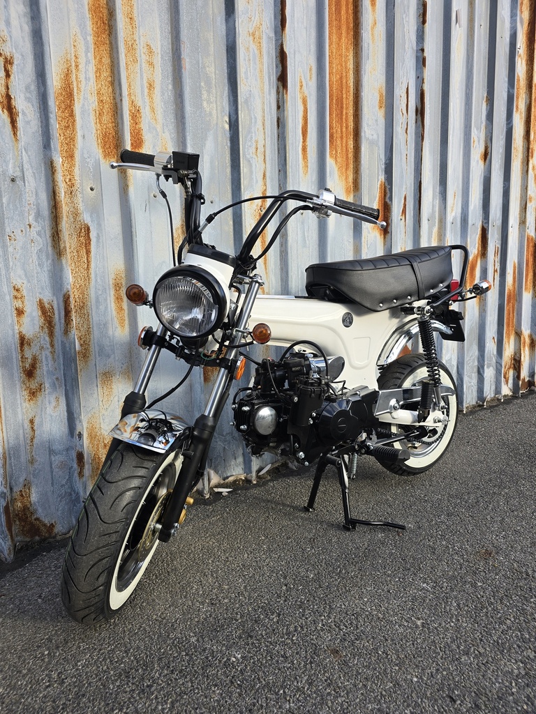 Zhenhua DX Wit NT / Full Black Motor