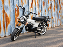 Zhenhua DX Wit OT / Full Black Motor