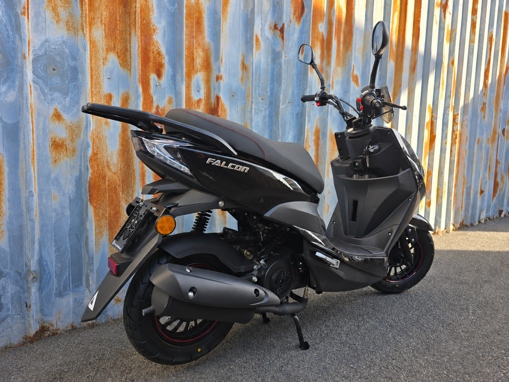 Falcon Sport Zwart