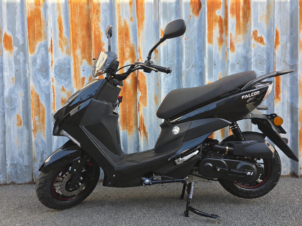 Falcon Sport Zwart