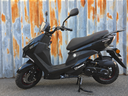 Falcon Sport Zwart