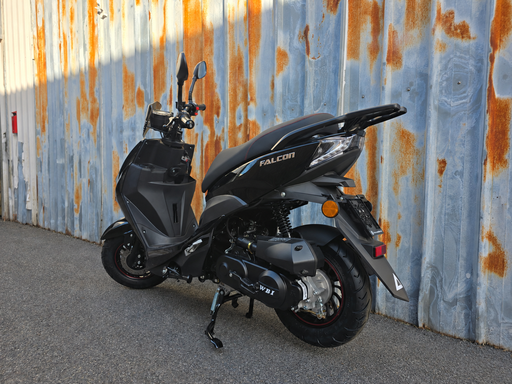 Falcon Sport Zwart