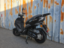 Falcon Sport Zwart