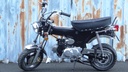 Zhenhua DX Zwart NT