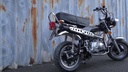 Zhenhua DX Zwart NT