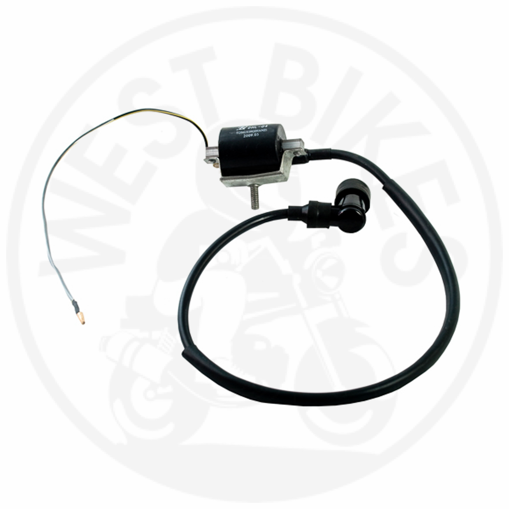 Bobine 12V Euro 2 - Monkey/Gorilla