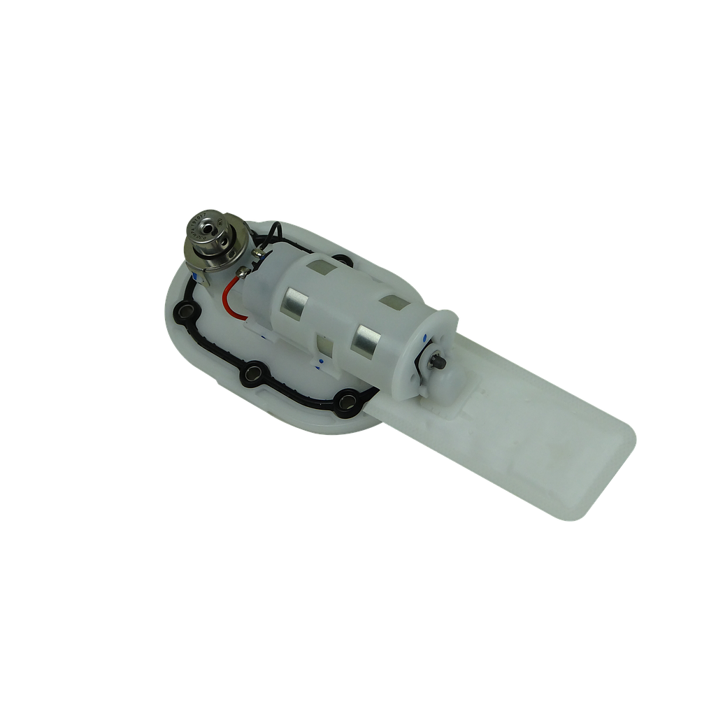 Gasoline Pump Euro 4/5 - Zoë/Lowigi