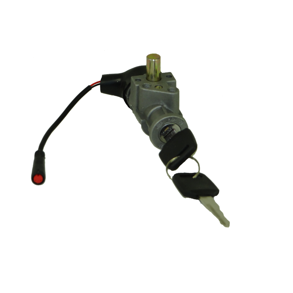 Ignition Switch - Fatboy