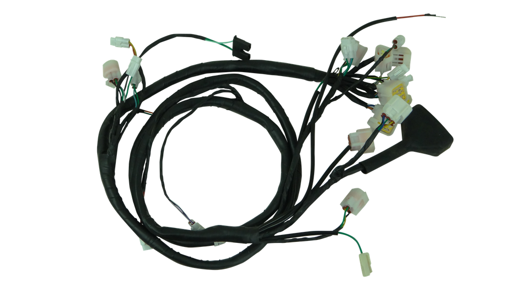 Wiring Harness - E-Asterix