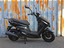 Falcon Sport Zwart