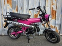 Zhenhua DX Fuchsia Roze / Full Black Motor OT