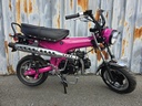 Zhenhua DX Fuchsia Rose / Full Black Motor NT