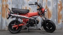 Zhenhua DX Matte Orange / Black NT