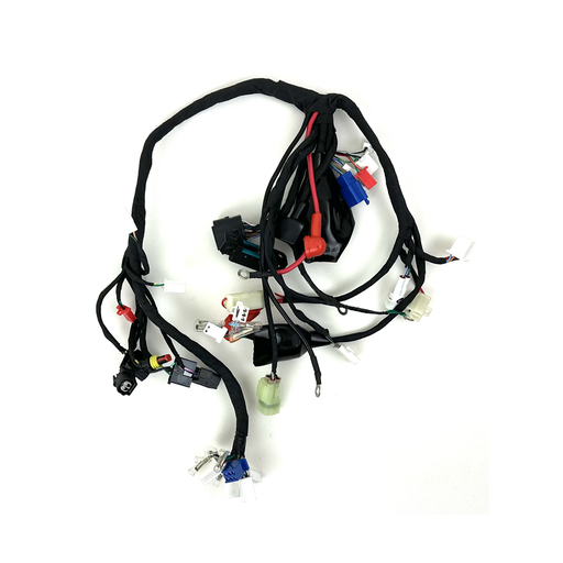 [438] Wiring Harness EURO 5 - WBI Kong