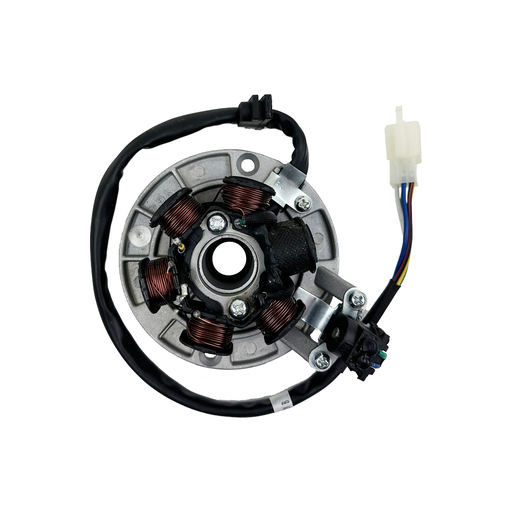 [610] Ignition With Light Coil 5-Wire EURO 2