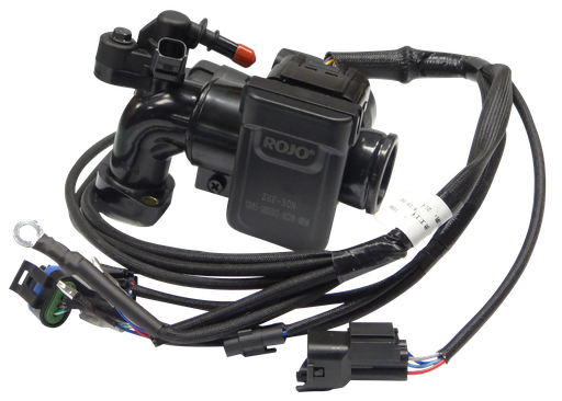 [WB-00387] Complete Injection System - Euro 5 - Dax