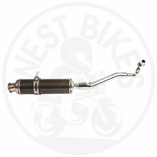 [125] Upwards Exhaust Carbon Rep. - Dax