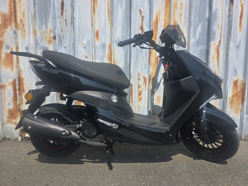 Falcon Sport Zwart