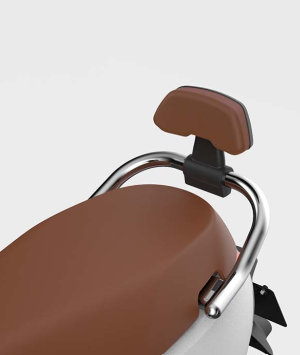 Zwarte rugsteun met bruin kussen Segway